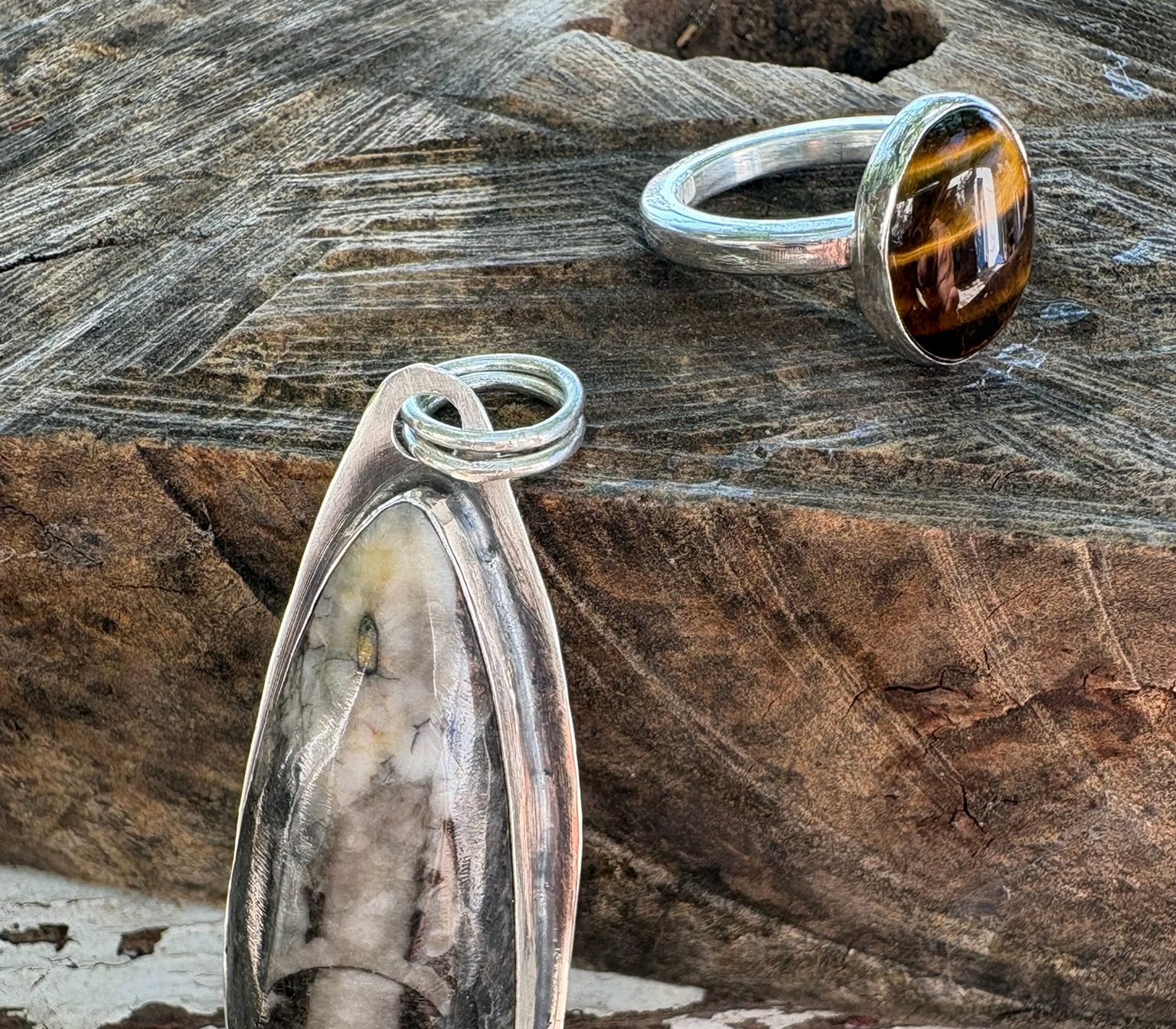 Tiger eye ring and fossil medallion landscape